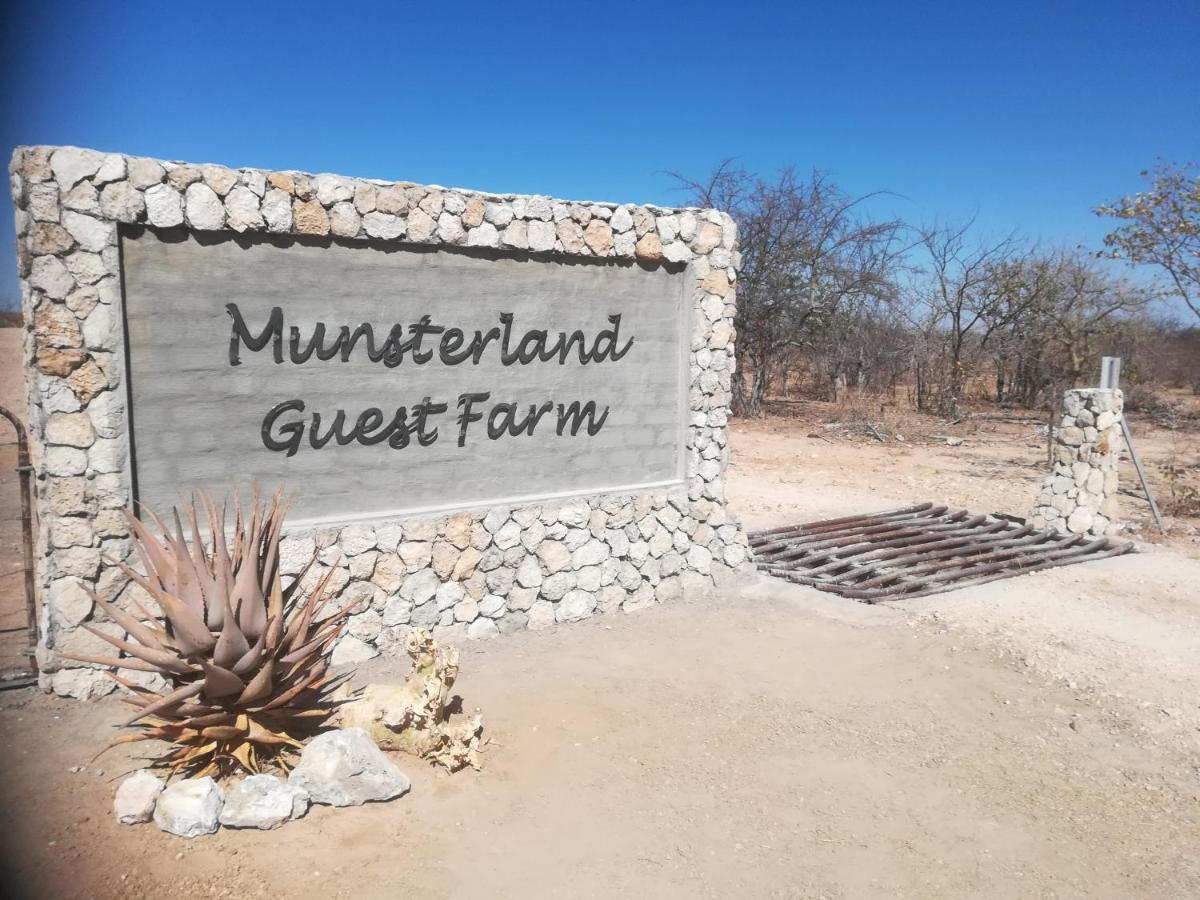 奥乔Munsterland Guest Farm别墅 外观 照片